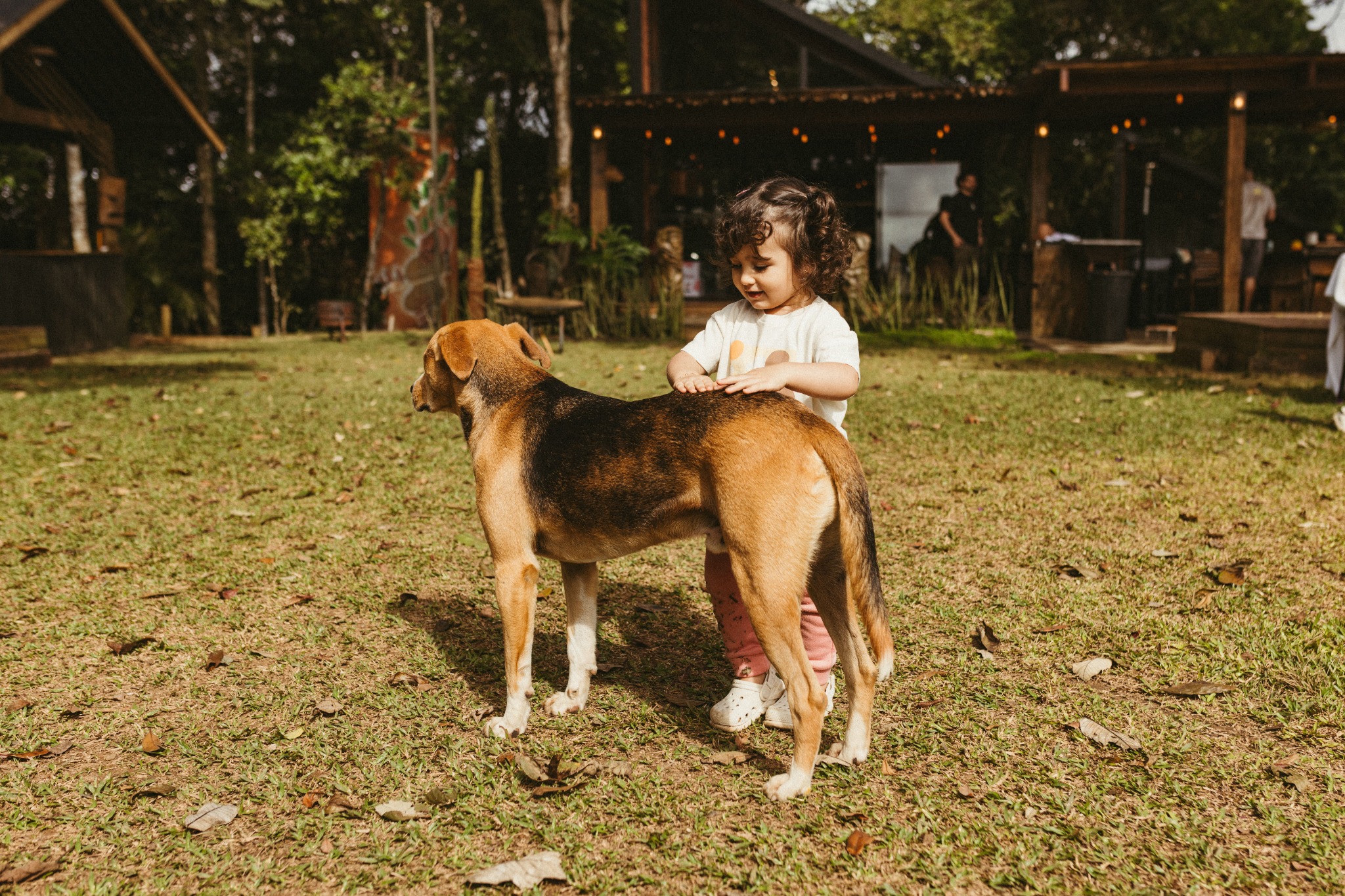 A child gently pets a dog on a sunny lawn